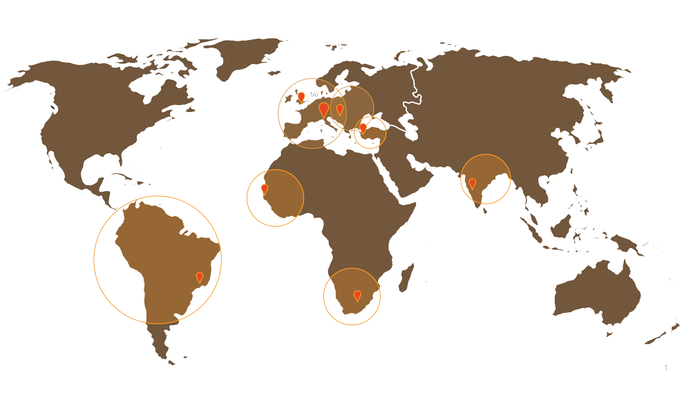 tai-worldwide